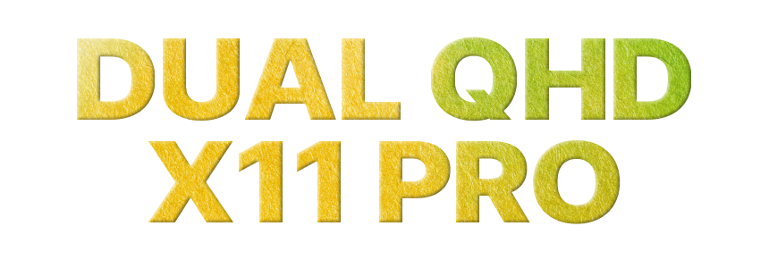 x11pro_logo